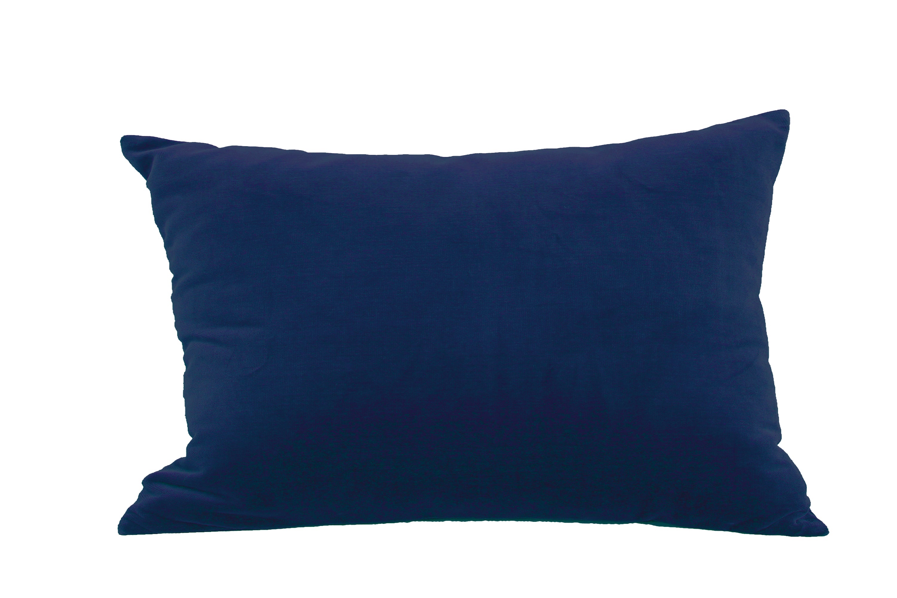 Cushion Velvet Rectangle